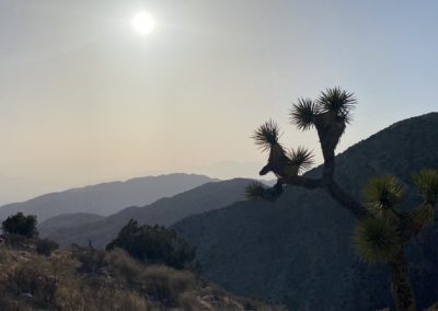 #68 Joshua TreeDesert Hot Springs