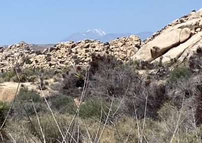 #25 Joshua Tree/Desert Hot Springs