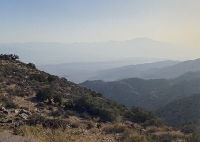 #66 Joshua Tree/Desert Hot Springs