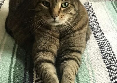 A regal Fred/Frodo