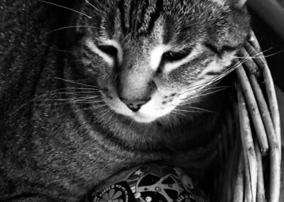 Fred with ball in black & white