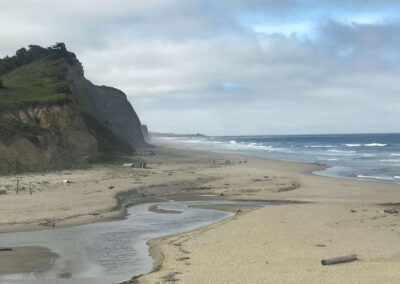Northern California tide pool