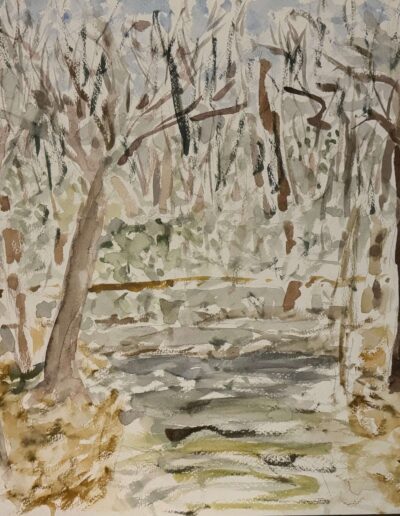 My Woods (24x28 watercolor & graphite 2017