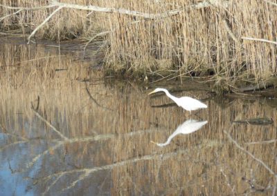 Reflections (12x9 or larger photograph)