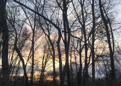 Autumn Sunset through the Trees (﻿12×9 or larger)