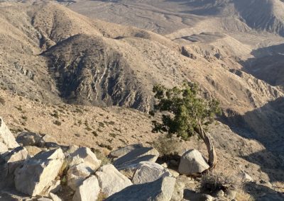 #70 Joshua TreeDesert Hot Springs “The Long View Rocks to Sky”