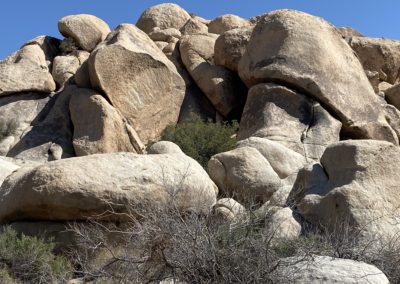 #13 Joshua Tree/Desert Hot Springs